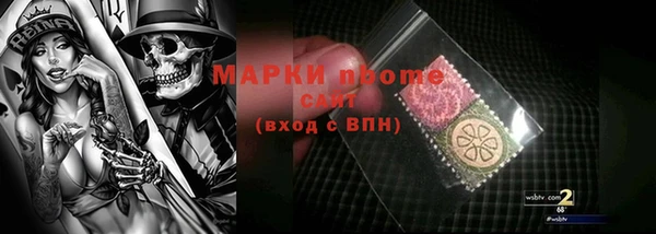 прущие грибы Белоозёрский