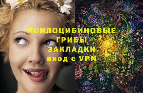 трава Краснослободск