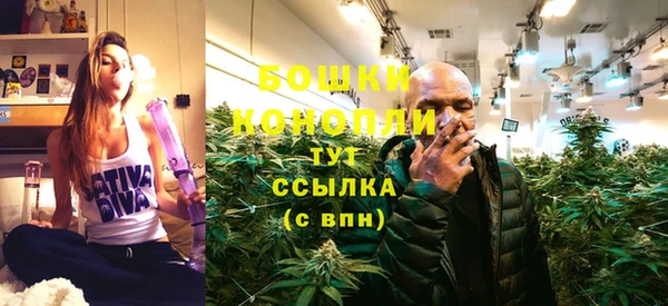 прущие грибы Белоозёрский