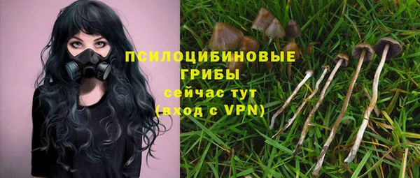 тгк Богданович