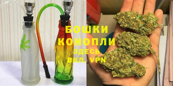 прущие грибы Белоозёрский